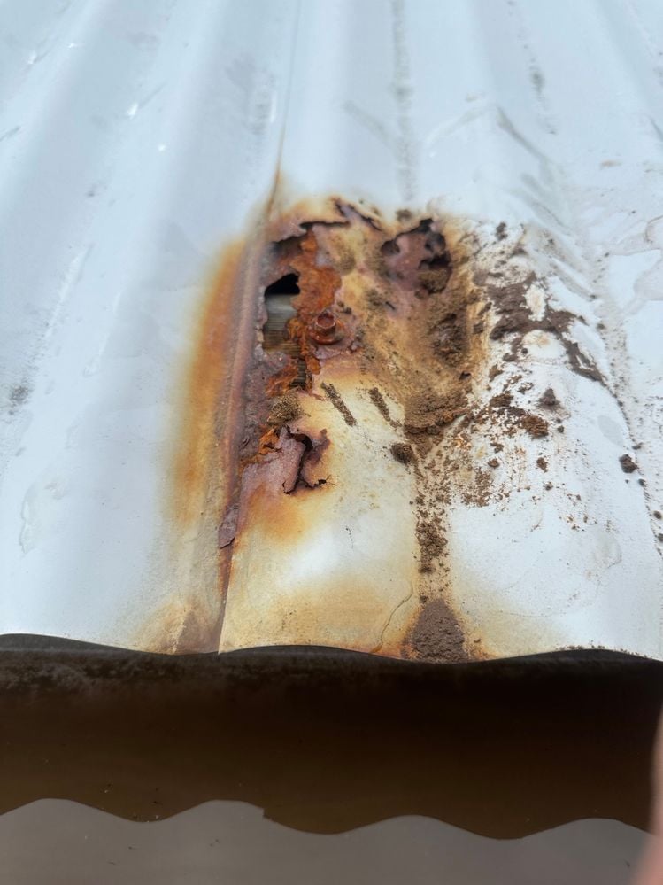 IMG_7180.jpeg IMG_7180.jpeg