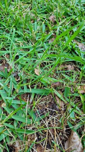 1000028114.jpg 1000028114.jpg