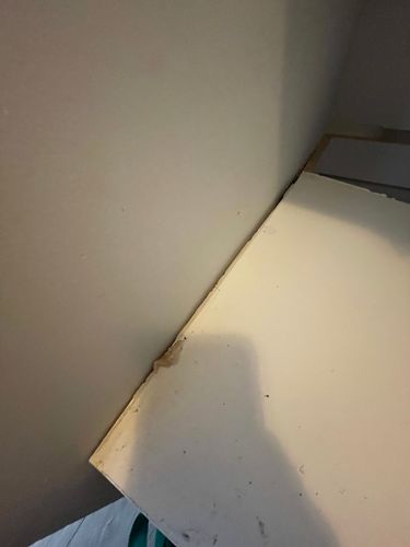 IMG_4158.jpeg IMG_4158.jpeg