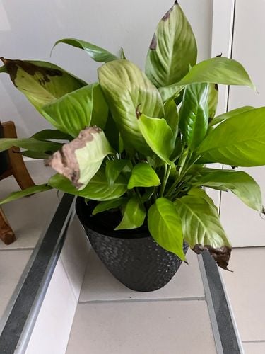 58B33067-31E6-4BC4-AA58-D9A2E236A521.jpeg 58B33067-31E6-4BC4-AA58-D9A2E236A521.jpeg