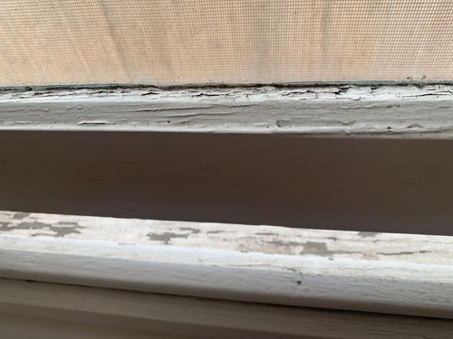 IMG_3970.jpeg IMG_3970.jpeg