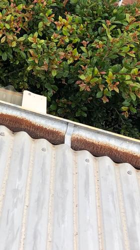 IMG_5099.png IMG_5099.png