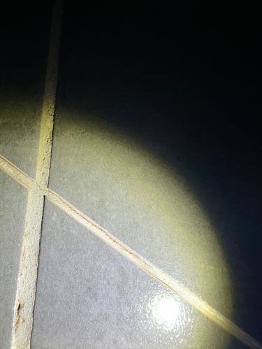 IMG_1171.jpeg IMG_1171.jpeg