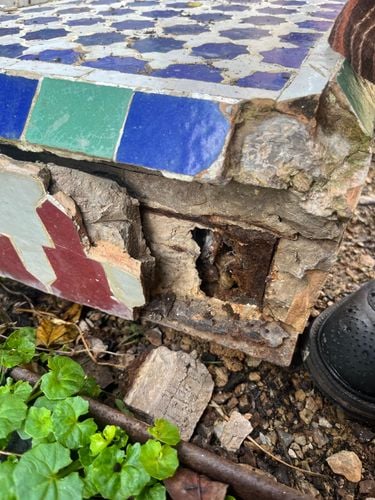 IMG_7610.jpeg IMG_7610.jpeg