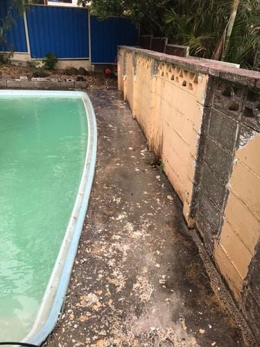 08 15-01-2024.jpg 08 15-01-2024.jpg