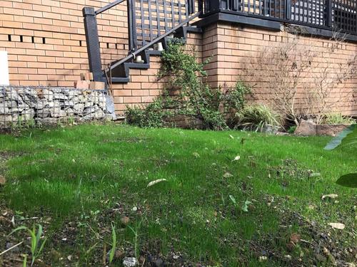 61 19-10-2022.jpg 61 19-10-2022.jpg