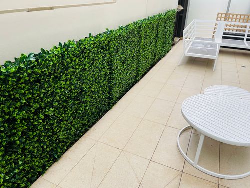 2A94C0A5-7283-4BFA-83E3-C473811D79FD.jpeg 2A94C0A5-7283-4BFA-83E3-C473811D79FD.jpeg