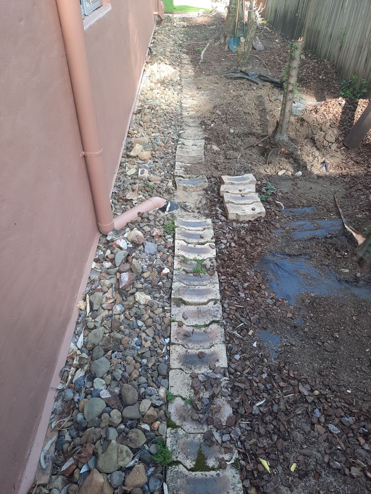 20250224_161037.jpg 20250224_161037.jpg