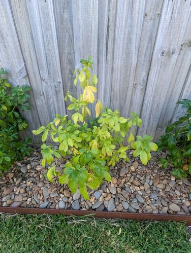 PXL_20220222_224746042.jpg PXL_20220222_224746042.jpg