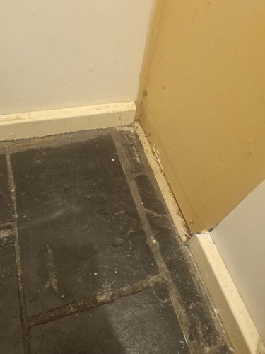 20240205_121956.jpg 20240205_121956.jpg