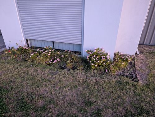 1000025829.jpg 1000025829.jpg