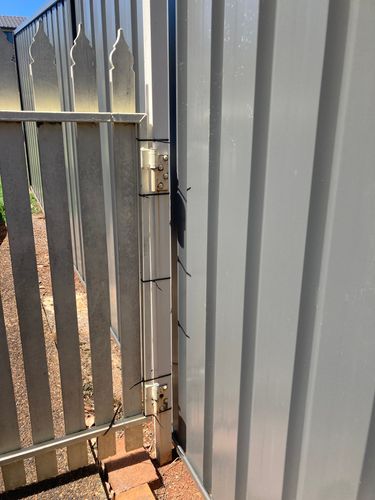 IMG_1485.jpeg IMG_1485.jpeg