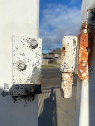 IMG_9396.jpeg IMG_9396.jpeg