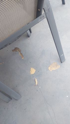 1000007197.jpg 1000007197.jpg