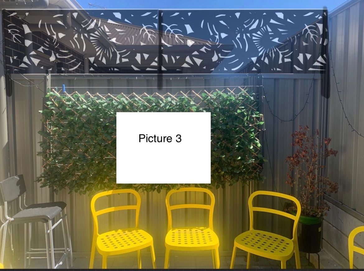 IMG_3109 2.jpeg IMG_3109 2.jpeg