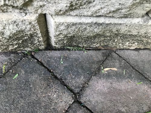 8341F6D5-4A10-4BE1-80EC-0133143AA0CC.jpeg 8341F6D5-4A10-4BE1-80EC-0133143AA0CC.jpeg