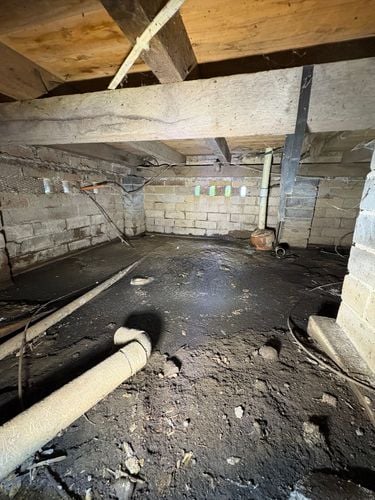 IMG_0006.jpeg IMG_0006.jpeg