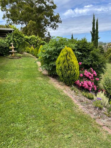 696C7C1D-E5B0-43C4-90C5-F78E4D98D2CC.jpeg 696C7C1D-E5B0-43C4-90C5-F78E4D98D2CC.jpeg