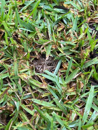 C3F8CED0-0FCF-4B4A-9A36-61963E2119C3.jpeg C3F8CED0-0FCF-4B4A-9A36-61963E2119C3.jpeg