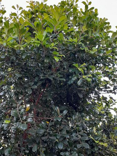 1000045835.jpg 1000045835.jpg