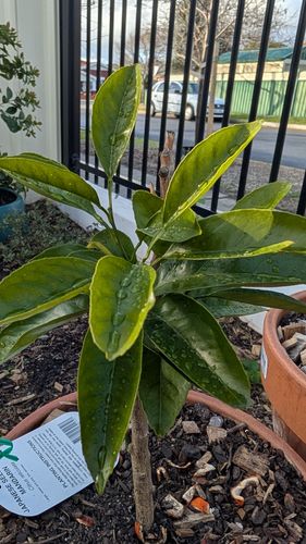 1000016636.jpg 1000016636.jpg