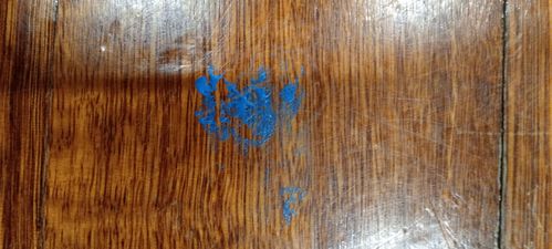 1000009447.jpg 1000009447.jpg