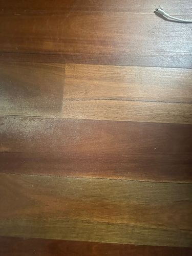 IMG_0254.jpeg IMG_0254.jpeg