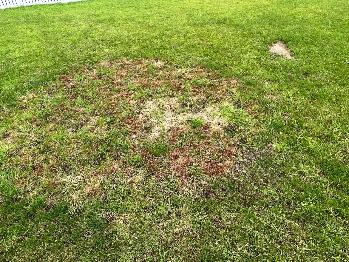 IMG_0273.JPG IMG_0273.JPG