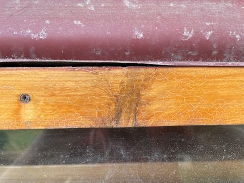 IMG_6843.jpeg IMG_6843.jpeg