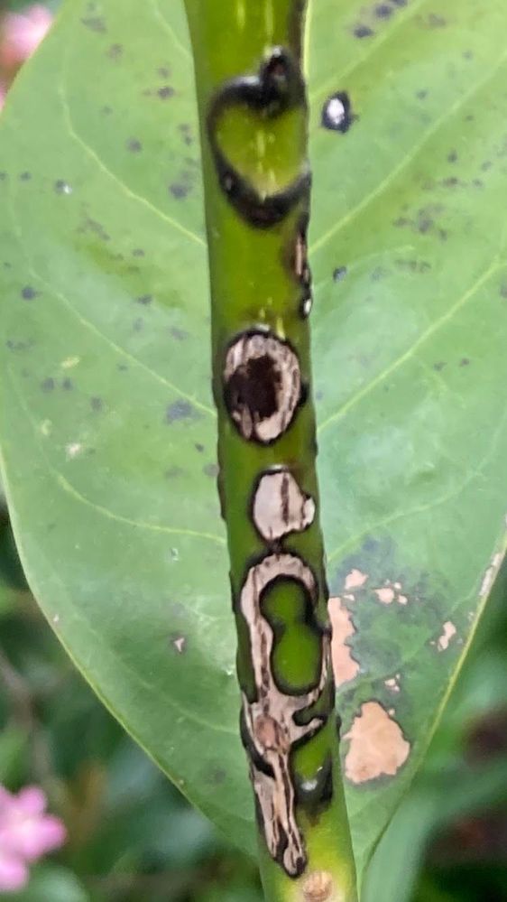 test 1.jpg test 1.jpg