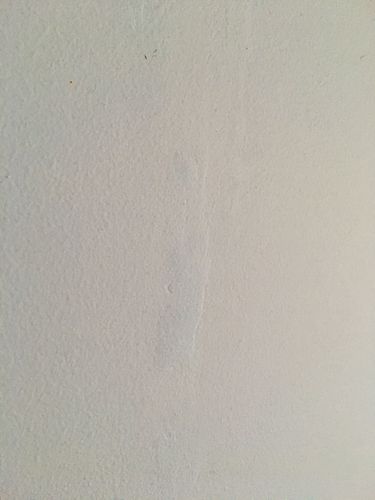 F6B32D58-C6BB-456B-9A66-DDFA68ACE488.jpeg F6B32D58-C6BB-456B-9A66-DDFA68ACE488.jpeg