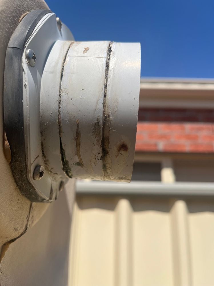 IMG_6316.jpg IMG_6316.jpg