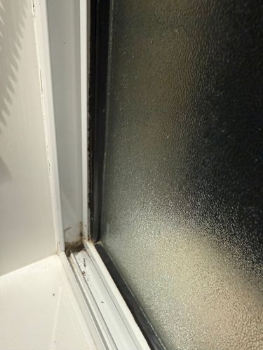 IMG_2654.jpeg IMG_2654.jpeg