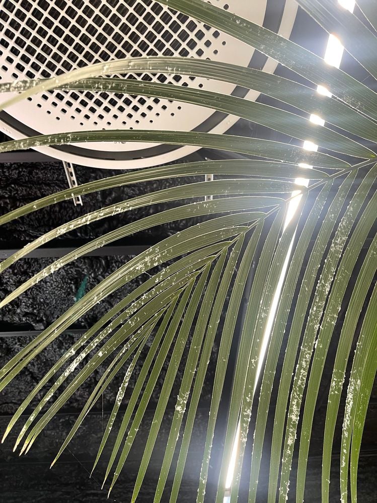 IMG-2176.jpg IMG-2176.jpg