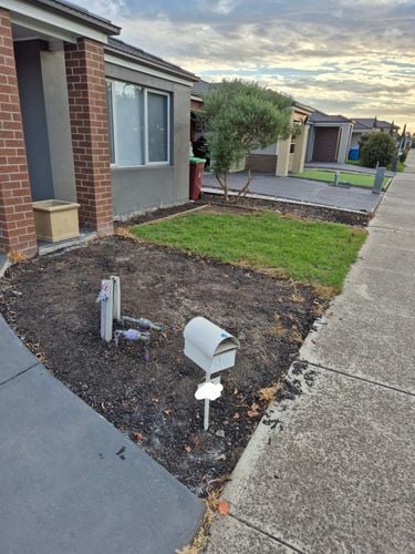 1000032645.jpg 1000032645.jpg