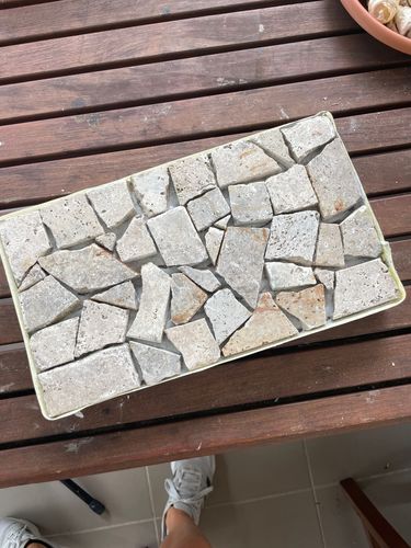 IMG_7822.jpeg IMG_7822.jpeg