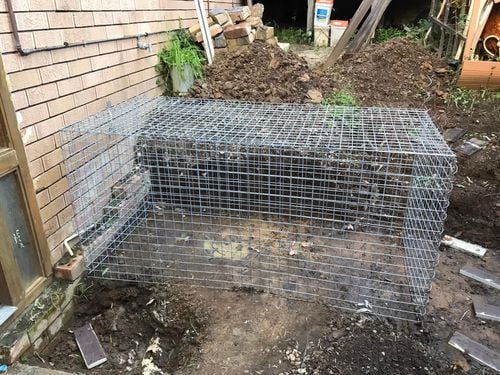 39 17-06-2024.jpg 39 17-06-2024.jpg