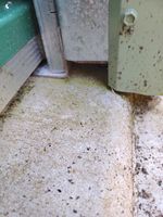 Shed new doorjamb.jpg Shed new doorjamb.jpg