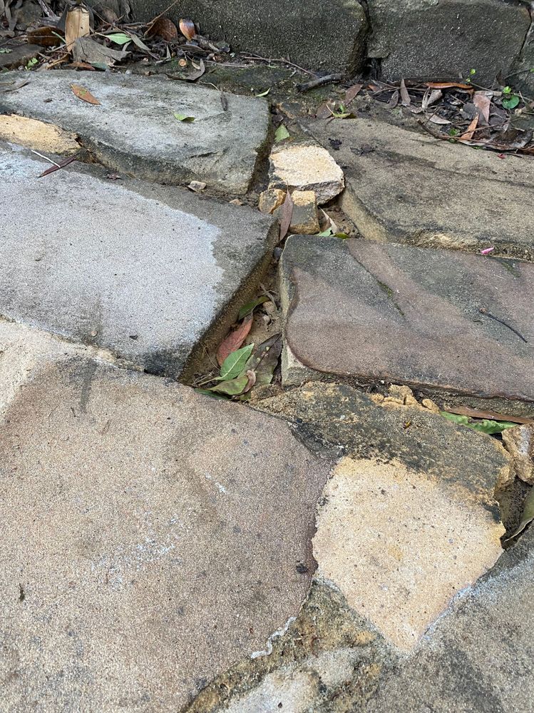 IMG_0845.jpg IMG_0845.jpg