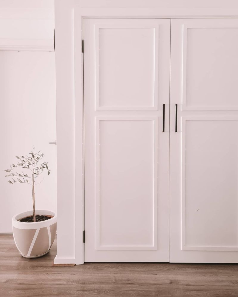 StevieB_2-1643845907217.jpeg StevieB_2-1643845907217.jpeg