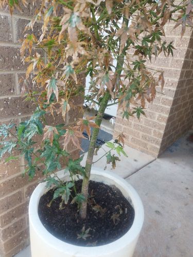 20250421_103023.jpg 20250421_103023.jpg