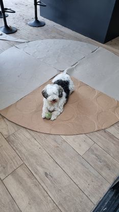 WhatsApp Image 2021-07-21 at 12.14.58.jpeg WhatsApp Image 2021-07-21 at 12.14.58.jpeg