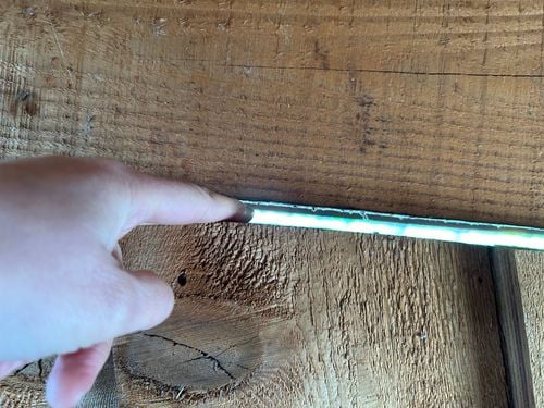 IMG_8855.jpeg IMG_8855.jpeg