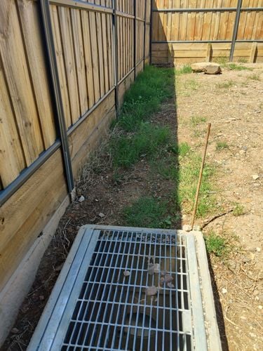 IMG_20241210_104601.jpg IMG_20241210_104601.jpg