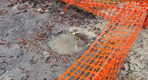 20241112_073408.jpg 20241112_073408.jpg