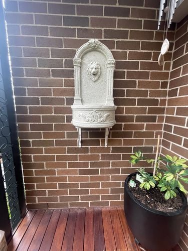 IMG_4823.jpeg IMG_4823.jpeg