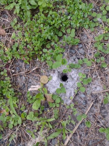 IMG_20211027_170537496.jpg IMG_20211027_170537496.jpg