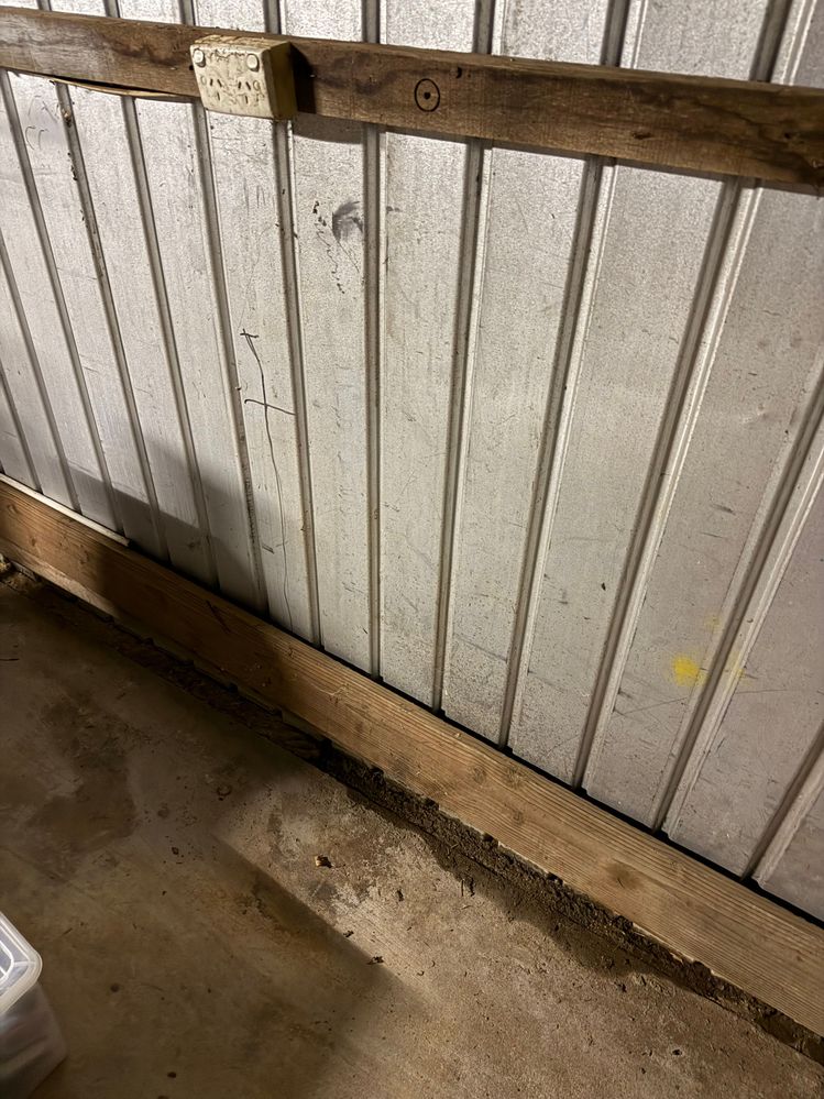 image8.jpeg image8.jpeg