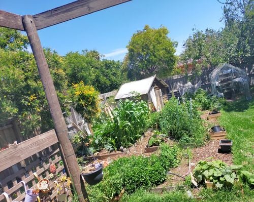 IMG_20260117_162324.jpg IMG_20260117_162324.jpg