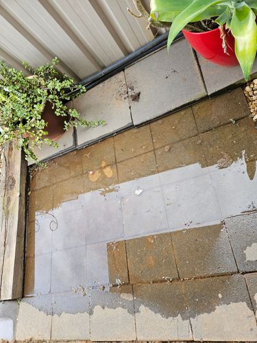 20240205_083659.jpg 20240205_083659.jpg